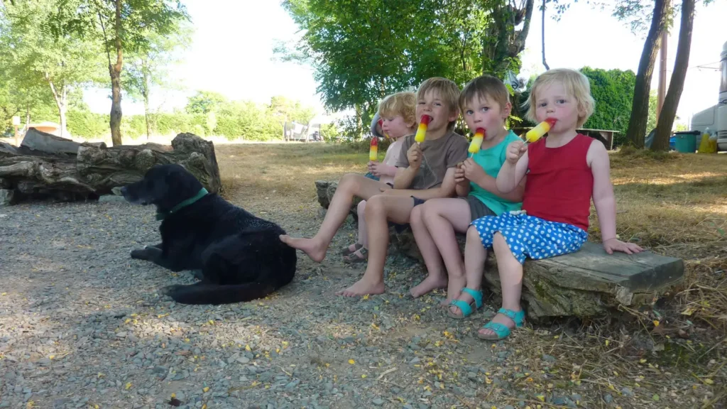 Camping Vue du Lac — photo 8
