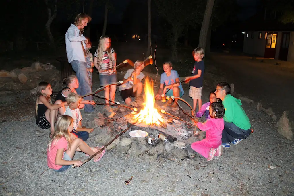 kinderen en volwassenen bakken broodjes boven een kampvuur