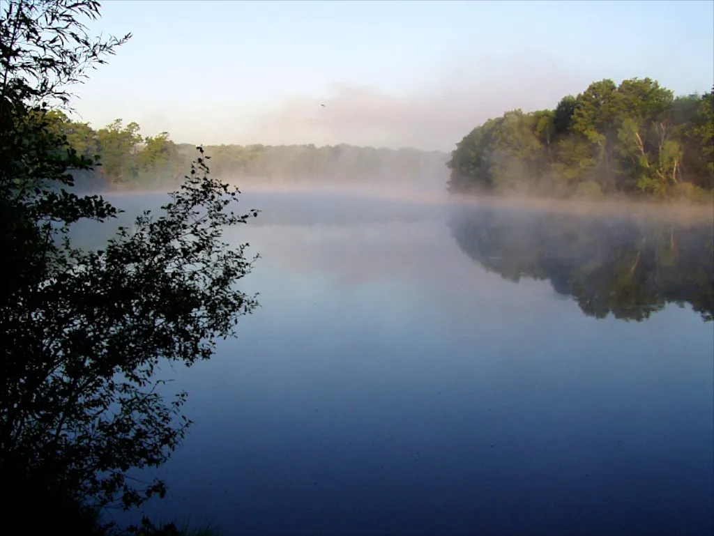 een meer omgeven door bomen met ochtendmist en blauwe lucht